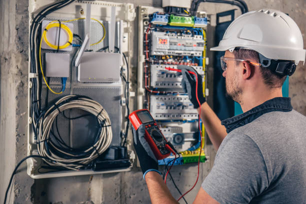 Best Electrician for Home Renovation  in Vla Park, IL