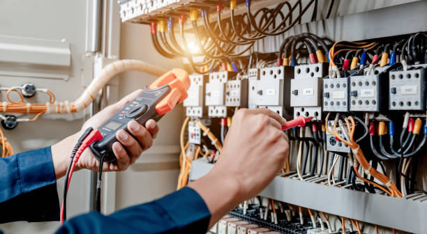 Best Generator Installation Services  in Vla Park, IL