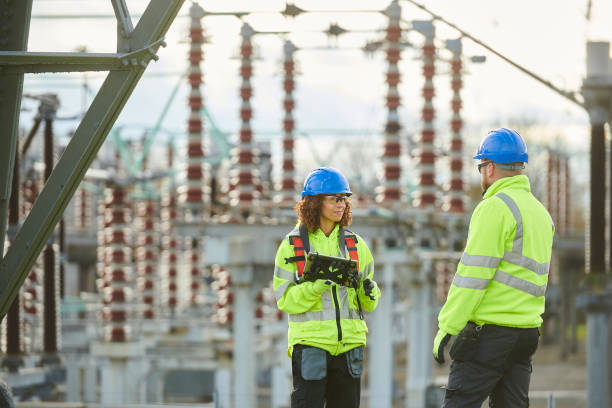Best Generator Installation Services  in Vla Park, IL